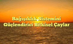 Bağışıklık Sistemini Güçlendirici Bitkisel Çaylar