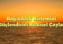 Bağışıklık Sistemini Güçlendirici Bitkisel Çaylar