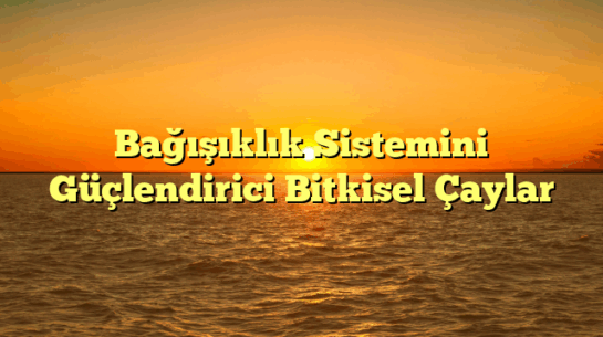 Bağışıklık Sistemini Güçlendirici Bitkisel Çaylar
